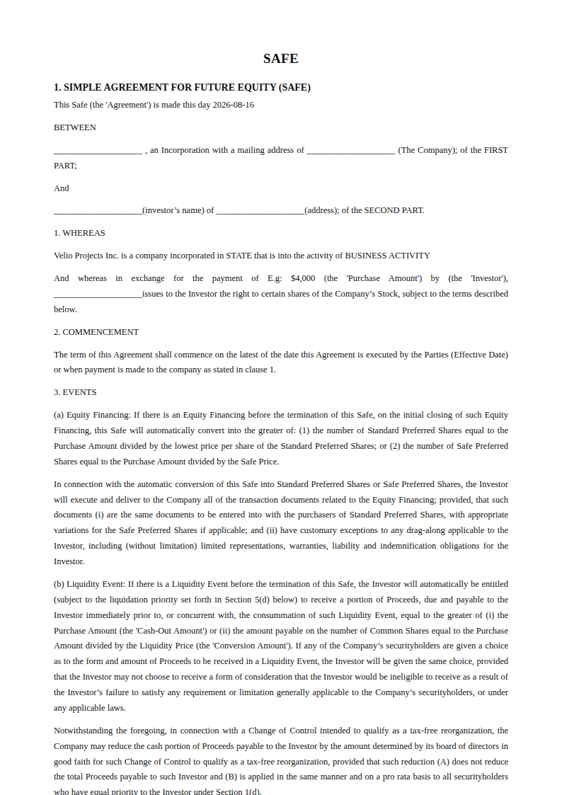 Preview of the SAFE template