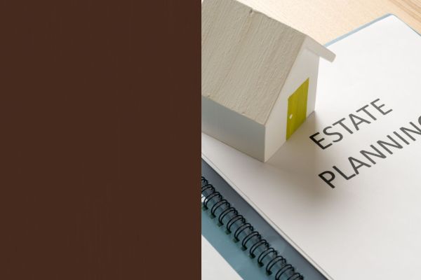 Everything You Need to Know About Codicil