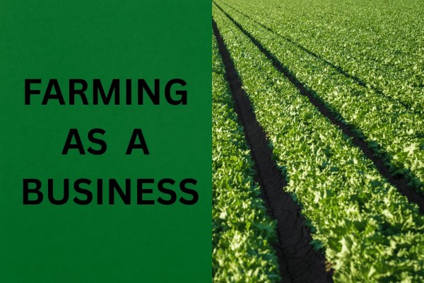 Farming as a Business: Turn Soil into Sustainable Profit